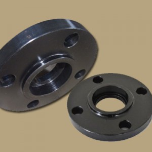 bich-socket-weld-a105
