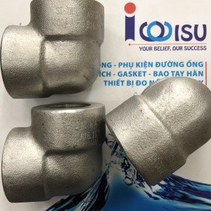 Co-ren-NPT-inox-304-ap-luc-cao