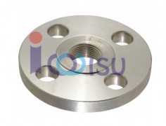 THREADED FLANGE A182 F304L CLASS 1500