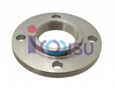 THREADED FLANGE CLASS 900 F316L