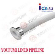 YOUFUMI PTFE FLEXIBLE HOSE